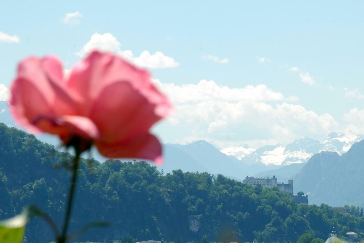 Bed and Breakfast Haus Salzburgblick Exteriér fotografie